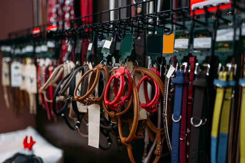 Accesorios y bienestar