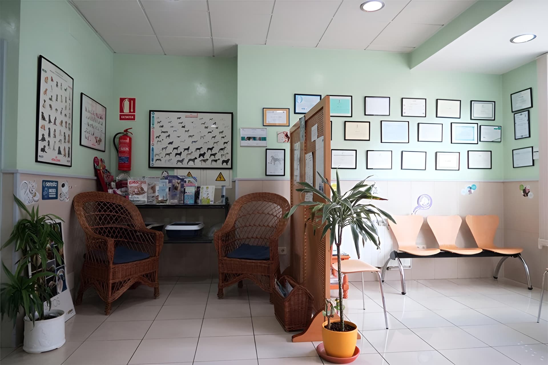 Clínica veterinaria con servicio de peluquería en Melide. ¡Llámenos!