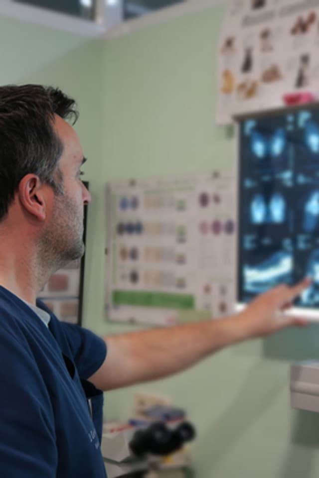 Somos su centro veterinario en Melide