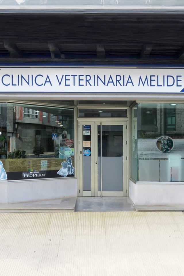Contactar con Clínica Veterinaria Melide