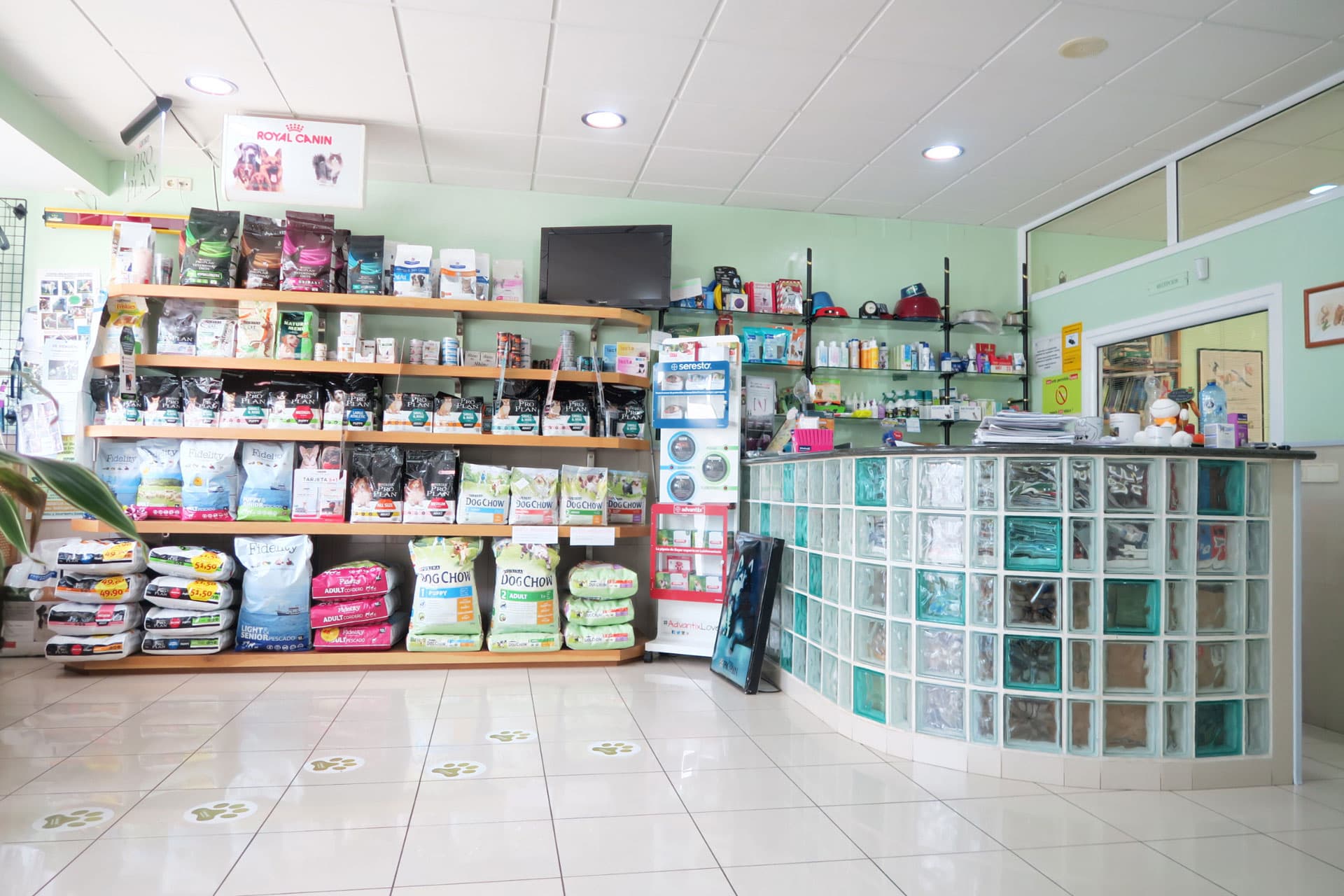 Peluquería de mascotas en Melide: estilo y bienestar para su compañero